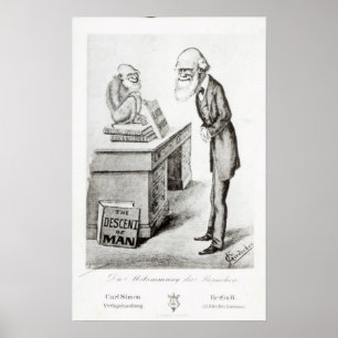 Die Abstammung des Menschen Poster