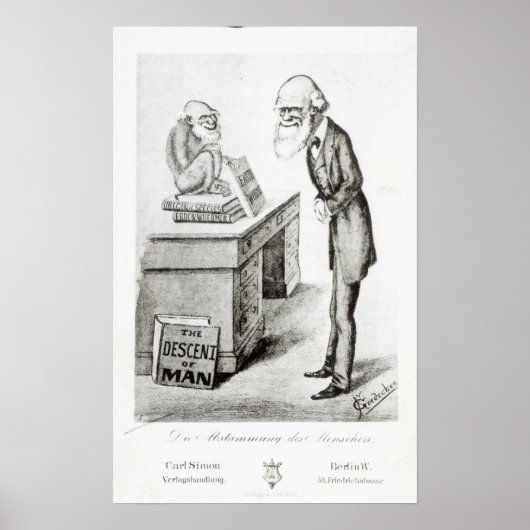 Die Abstammung des Menschen Poster (Vorne)