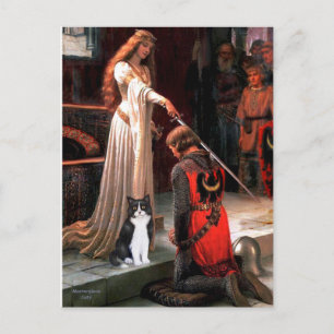Die Accolade - Schwarze und Weiße Katze Postkarte
