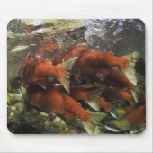 Die Adams River Sockeye Run ist eine der Mousepad (Vorne)
