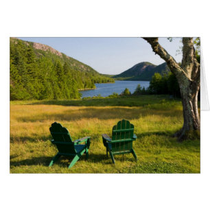 Die Adirondack-Stühle auf dem Rasen des Jordans