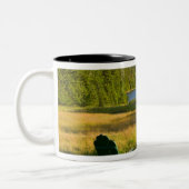 Die Adirondack-Stühle auf dem Rasen des Jordans Zweifarbige Tasse (Links)