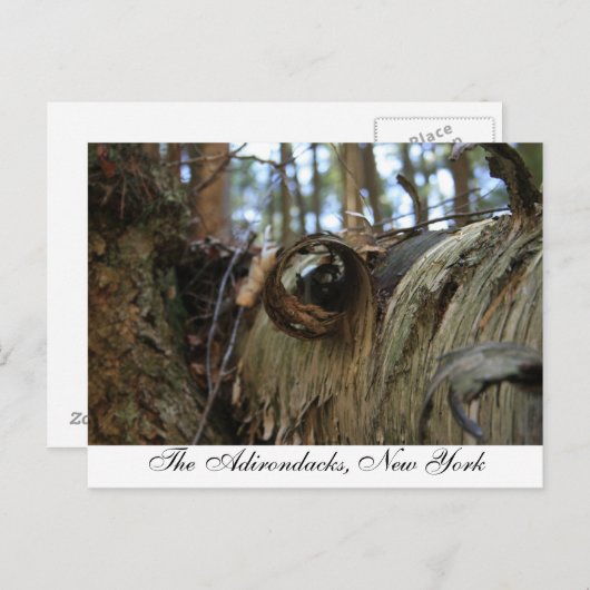 Die Adirondacks, New York Postkarte (Vorne/Hinten)