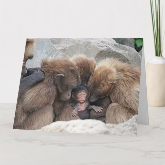 Die Affen-Familien-Karte Karte (Vorderseite)