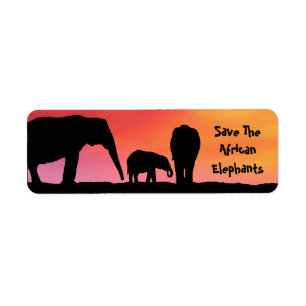 Die afrikanischen Elefanten gerettet