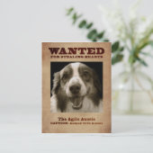 Die Agile Aussie Postkarte (Stehend Vorderseite)