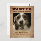 Die Agile Aussie Postkarte (Vorne/Hinten)