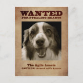 Die Agile Aussie Postkarte (Vorderseite)