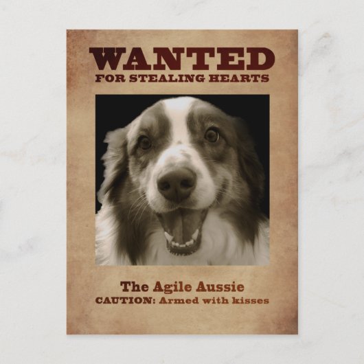 Die Agile Aussie Postkarte (Vorderseite)