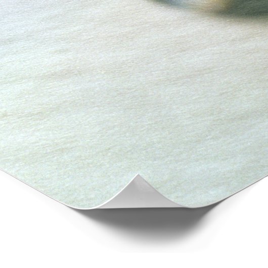 Die Agra Diamond Poster (Ecke)