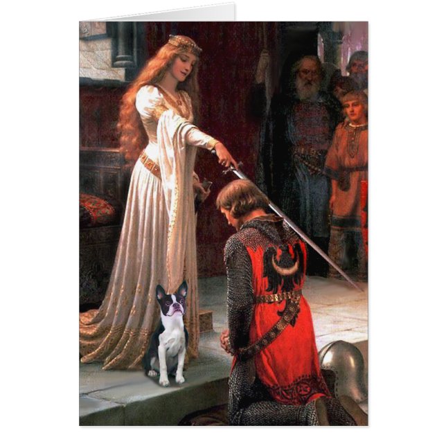 Die Akkolade - Boston #2 (Vorne)