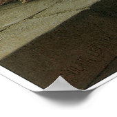 Die Akkolade Poster (Ecke)