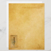 Die Alice-Sammlung: Alice-Ineinanderschieben Briefkopf (Vorne/Hinten)