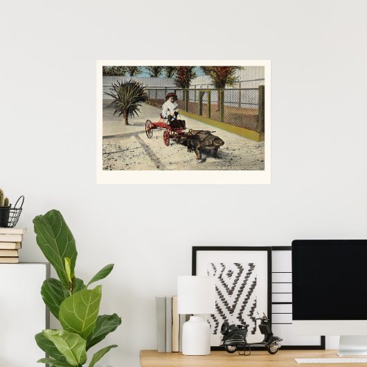 Die Alligator Express-Kartendrucke Poster (Heimbüro)