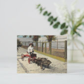 Die Alligator Go-Kart-Postkarte Postkarte (Stehend Vorderseite)