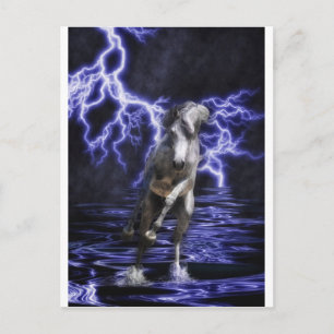 Die allmächtigen Araber Postkarte