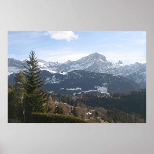 Die Alpen in der Schweiz Poster (Vorne)