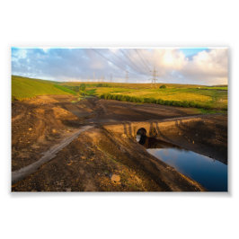 Die alte Brücke der Bäume Fotodruck