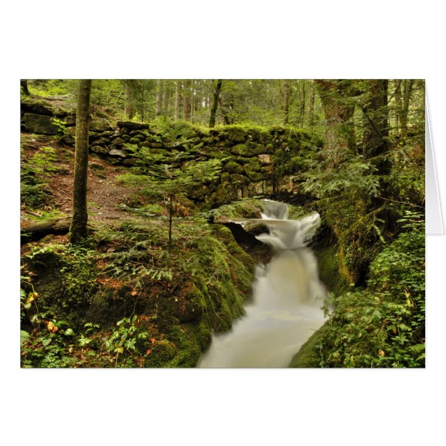 die alte Brücke Grusskarte (Vorderseite (Horizontal))