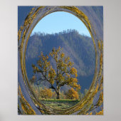 Die alte Eiche...... Poster (Vorne)