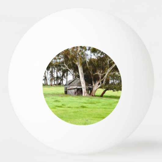 Die alte Holzhütte Tischtennisball (Rückseite)