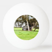 Die alte Holzhütte Tischtennisball (Vorderseite)