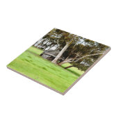 Die alte Keramik aus Holz Fliese (Seite)