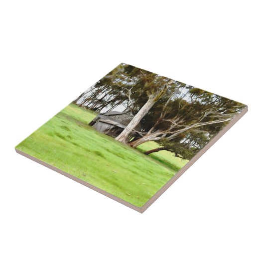 Die alte Keramik aus Holz Fliese (Seite)