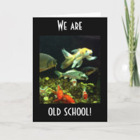 DIE ALTE SCHULE SAGT DIESE GRUPPE VON FISCHGEBURTS