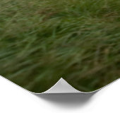 Die alte Straße Kenmare Poster (Ecke)