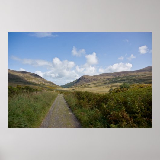 Die alte Straße Kenmare Poster (Vorne)