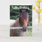 Die alte Stuten-Geburtstags-Karte Karte (Gelbe Blume)