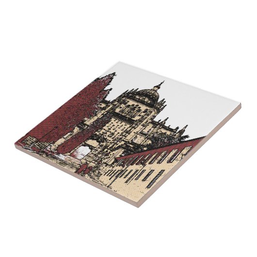 Die Altstadt von Salamanca Fliese (Seite)