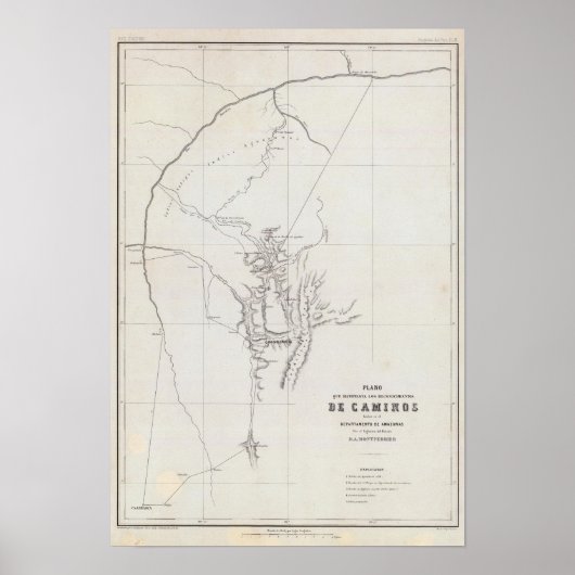 Die Amazonen 2 Poster (Vorne)