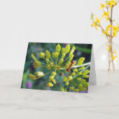 Die Ameise, die Fliege und das Unkraut Karte (Gelbe Blume)