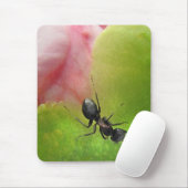 Die Ameise und das Peony Mousepad (Mit Mouse)