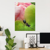 Die Ameise und das Peony Poster (Heimbüro)