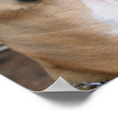 DIE AMERIKANER HABEN SICH GEFÜHRT. POSTER (Ecke)