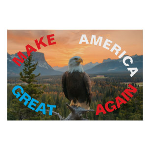DIE AMERIKANER WIEDER ERHEBLICH ZUM SONNENREISE MA POSTER