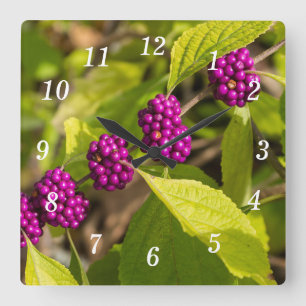 Die amerikanische Beautyberry-Uhr Quadratische Wanduhr