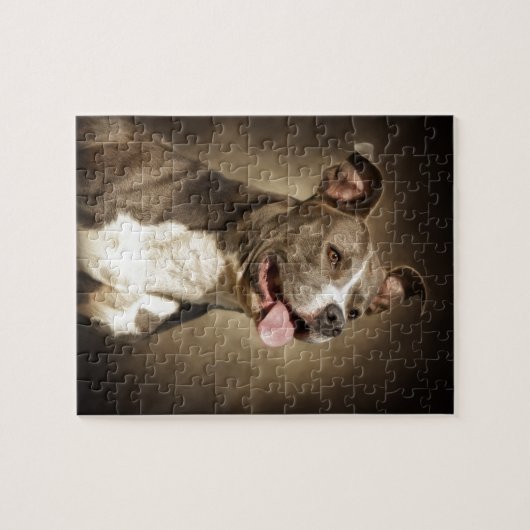 Die amerikanische blaue Pitbull Puzzle (Horizontal)