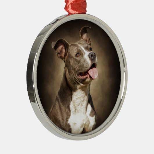 Die amerikanische blaue Pitbull Silbernes Ornament (Rechts)