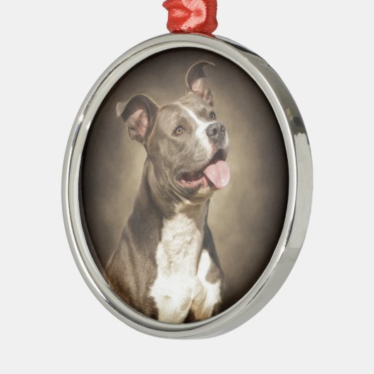 Die amerikanische blaue Pitbull Silbernes Ornament (Links)