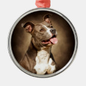 Die amerikanische blaue Pitbull Silbernes Ornament (Vorne)