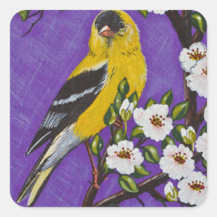 Die amerikanische Goldfinch Quadratischer Aufkleber