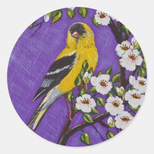 Die amerikanische Goldfinch Runder Aufkleber