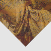 Die amerikanische Verfassung Seidenpapier (Ausschnitt)