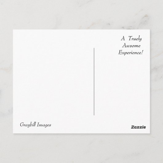 Die"AMISH"Connection Postkarte (Rückseite)