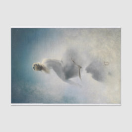 Die an Sterne Seidenpapier