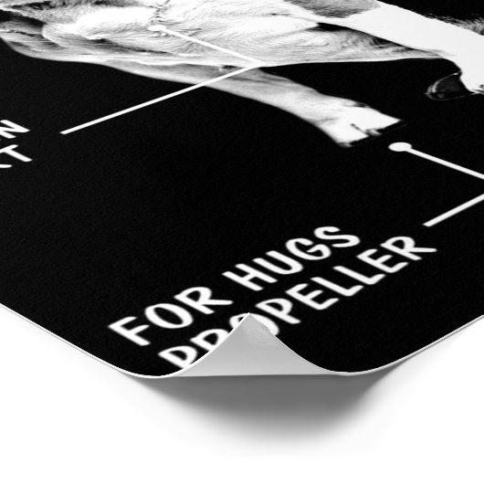 Die Anatomie | Beagle Dog | Fantastischer Hund Poster (Ecke)